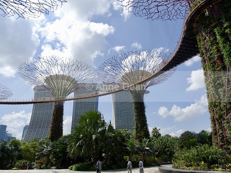 That's quite a walkway! - Singapore and Kuala Lumpur (including some wildlife)