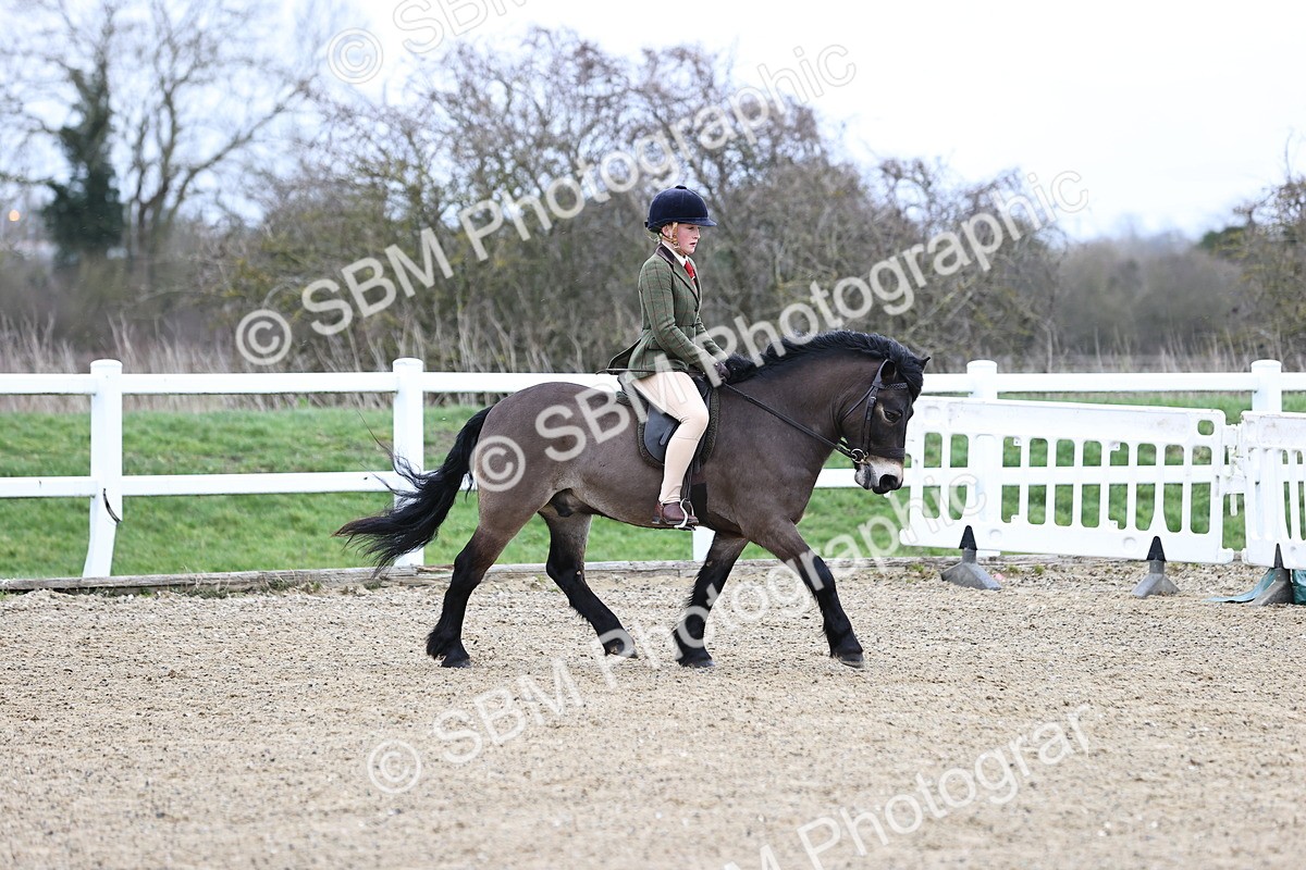 SBM_007390 - Class 31-32 - M&M Confined Novice Small-Large