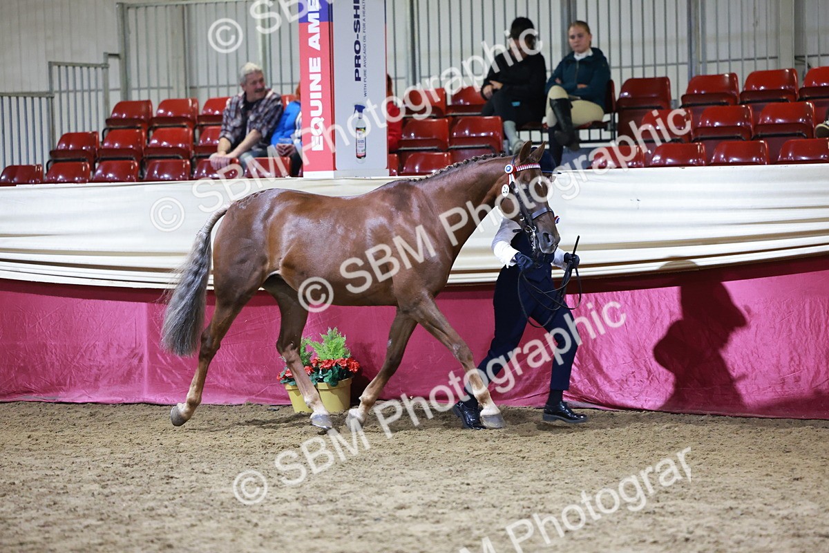 SBM_21207 - Class R - Veteran Champ