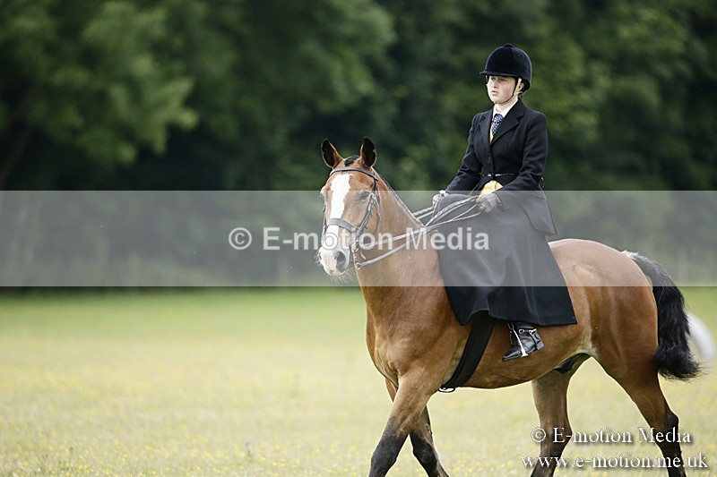 BVR160717-1575 - Side Saddle Classes 16/07/17