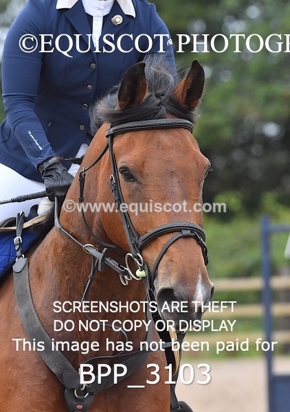 BPP_3103 - CLASS 2 Senior British Novice/ 90cm Open