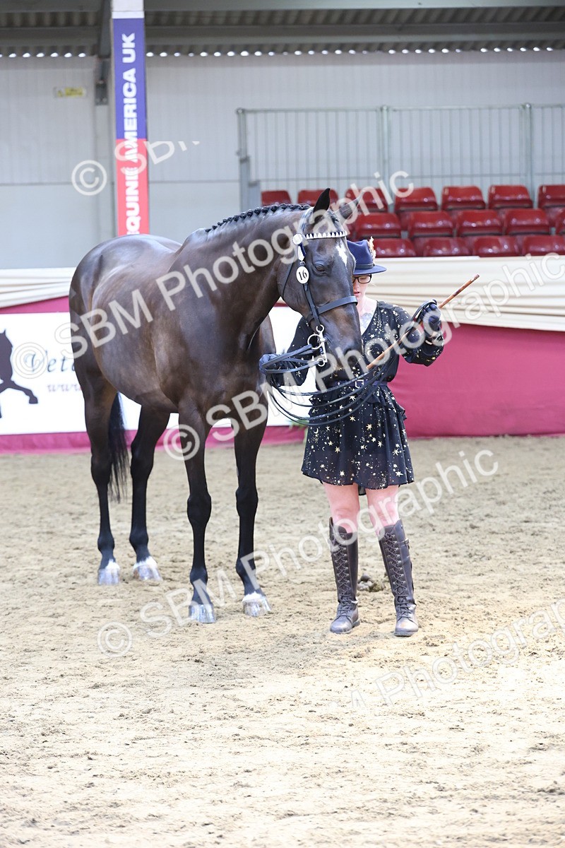 SBM_23356 - Class 903 - Supreme Final - IH Pre Vet