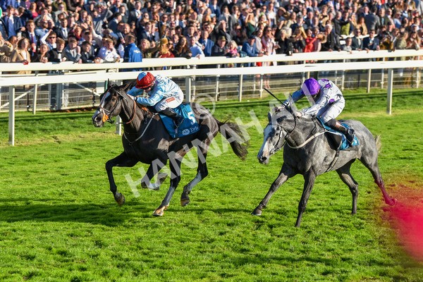 141023-Race 6-Punctuation-1504 - Race 6 4.10pm Coral Get Closer To The Action Handicap