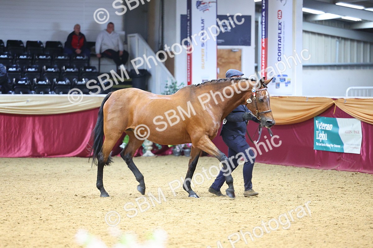 SBM_23213 - Supreme Final - IH Champion