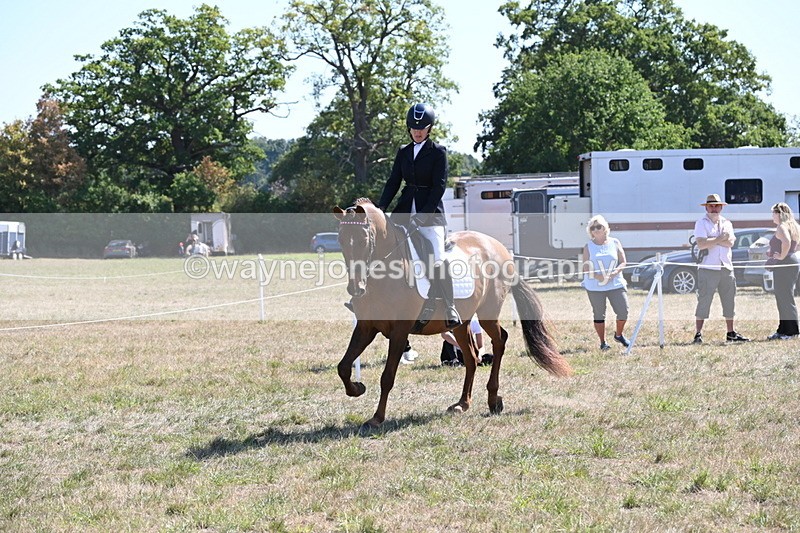 WJ6_8857 - Class 38 Ridden Riding Horse/Pony
