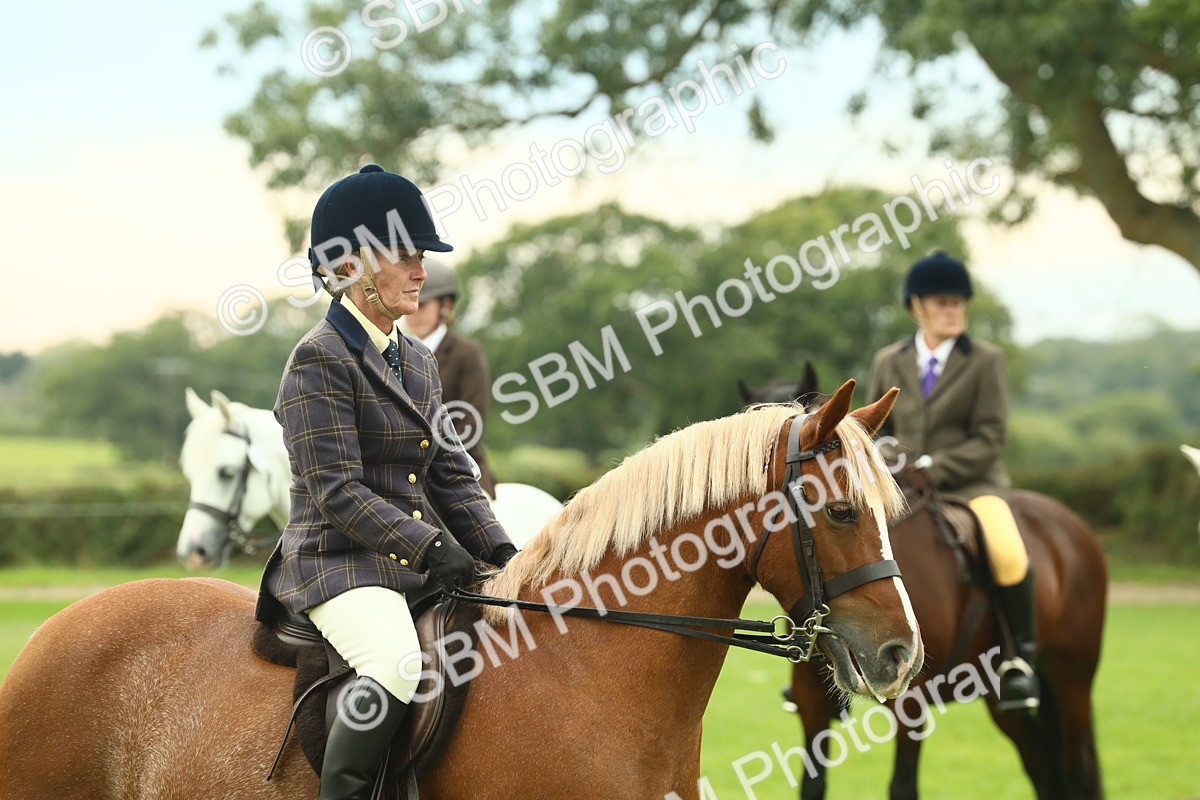 SBM_72078 - S60 - Mountain & Moorland Ridden Large Breeds