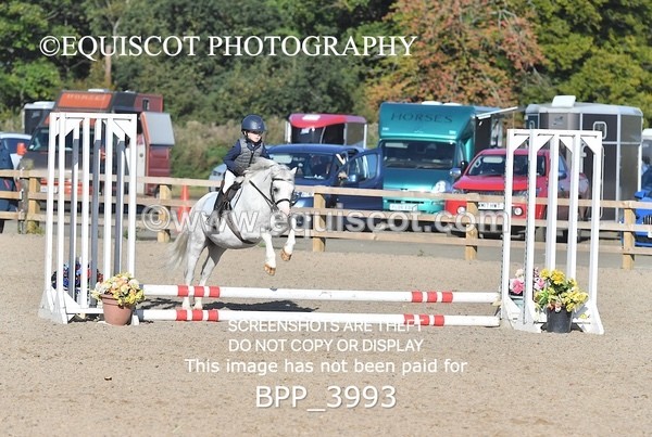 BPP_3993 - CLASS 2 40CM FINAL