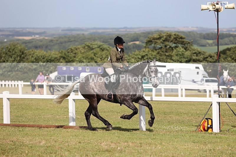 JPP_2951 - Class 20: Working Hunter 70cm