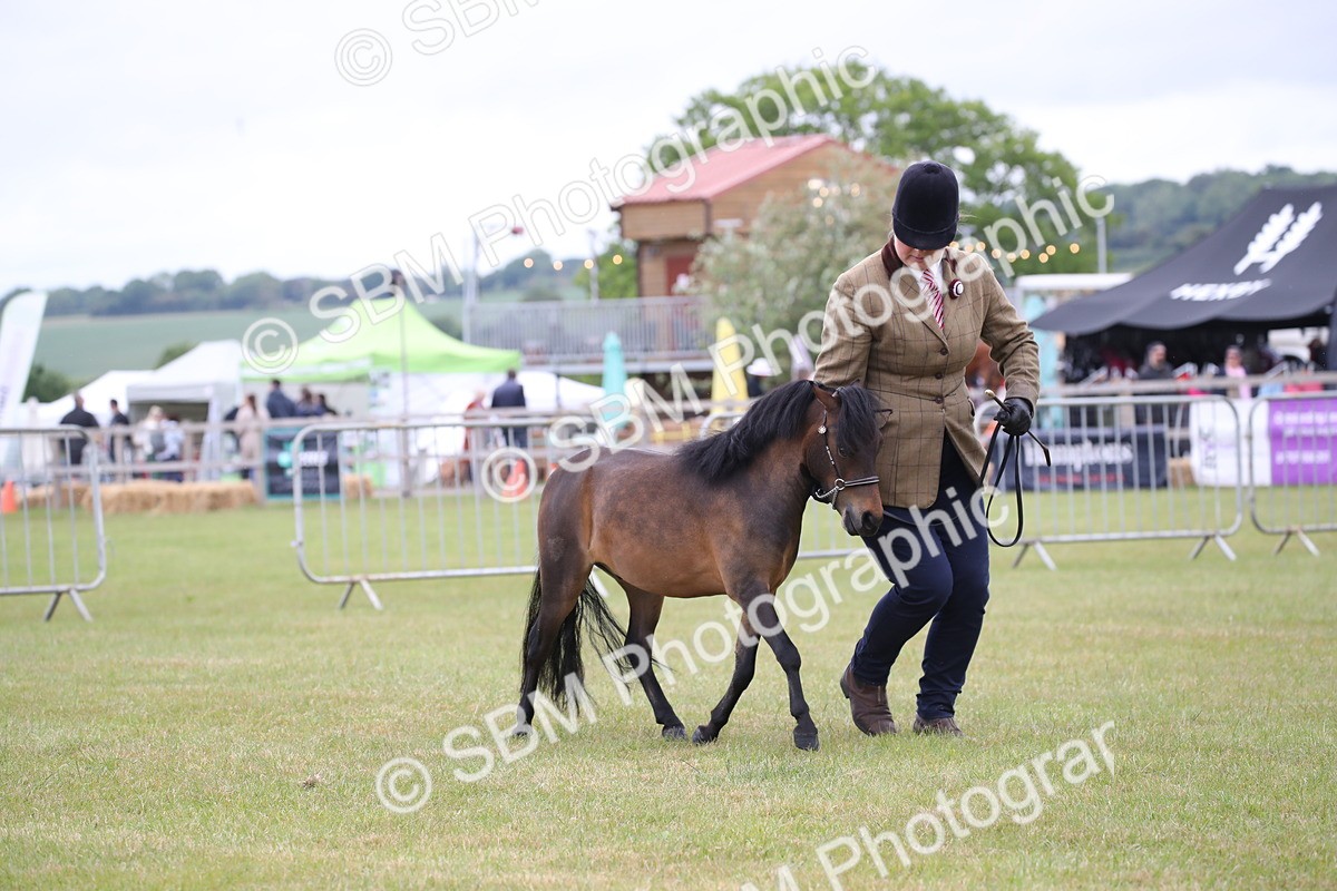 SBM_03530 - Class 23-25 - British Miniature Horse of the Year