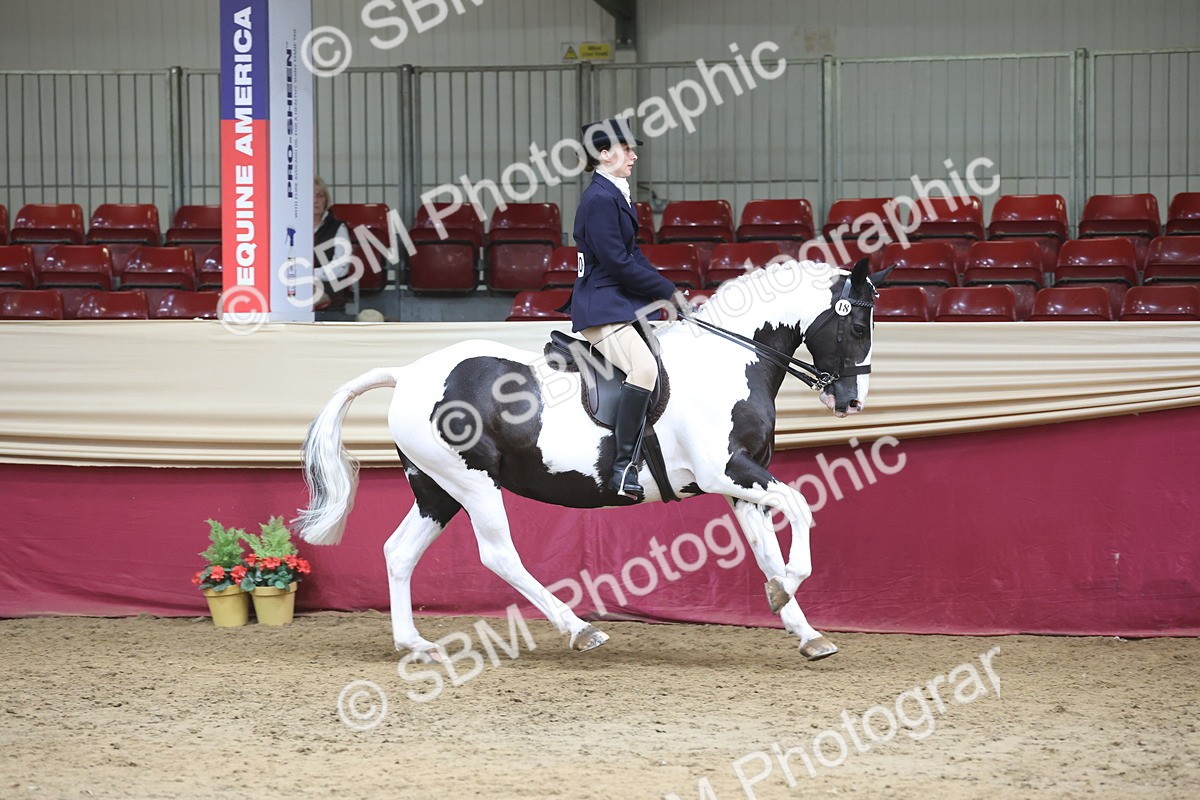 SBM_23721 - class 906 - Supreme Final - Ridden Pre Vet