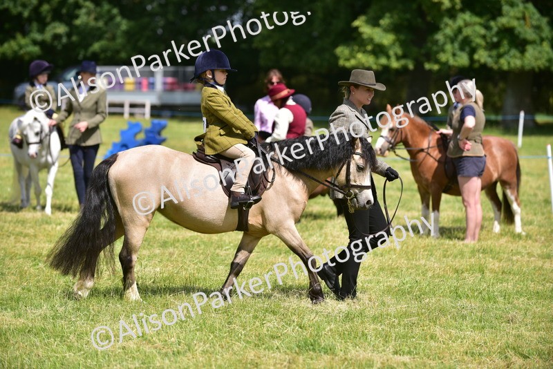 20260614-1241 - Class 11a - Lead Rein Pony (Unplaited)