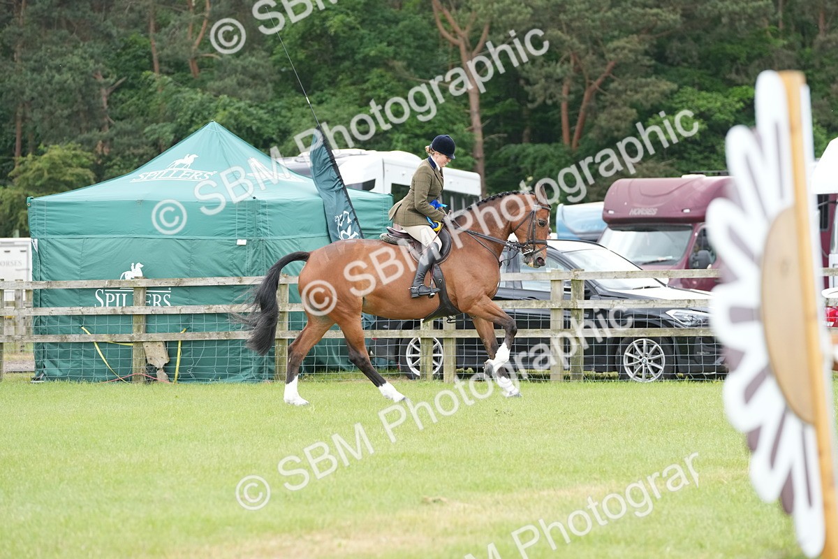 SBM_00036 - Class 100-102 - RIHS Working Hunter