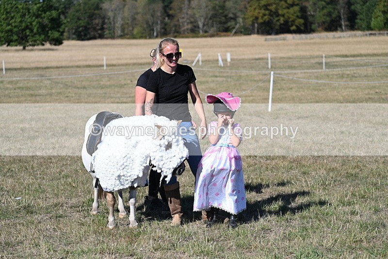 WJ7_2855 - Class 45 Fancy Dress (My Fav)