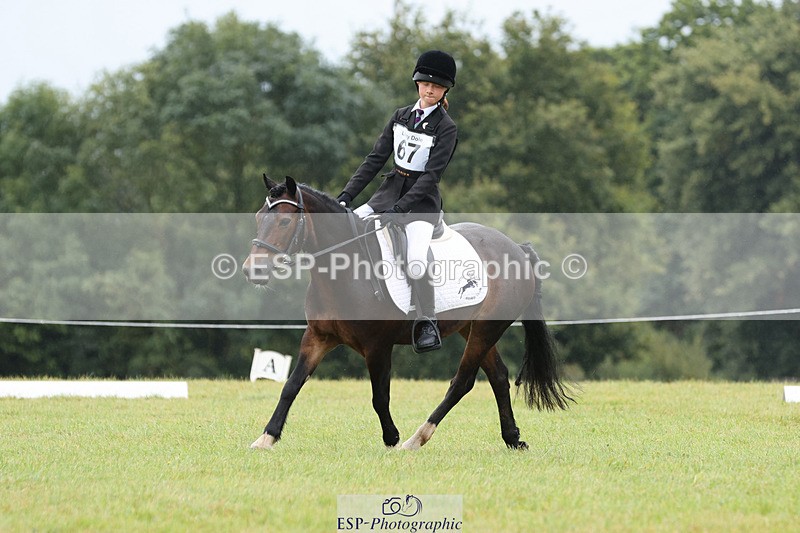 240824X-102434-22237 - D70 Section C and D 9.30 to 11.00