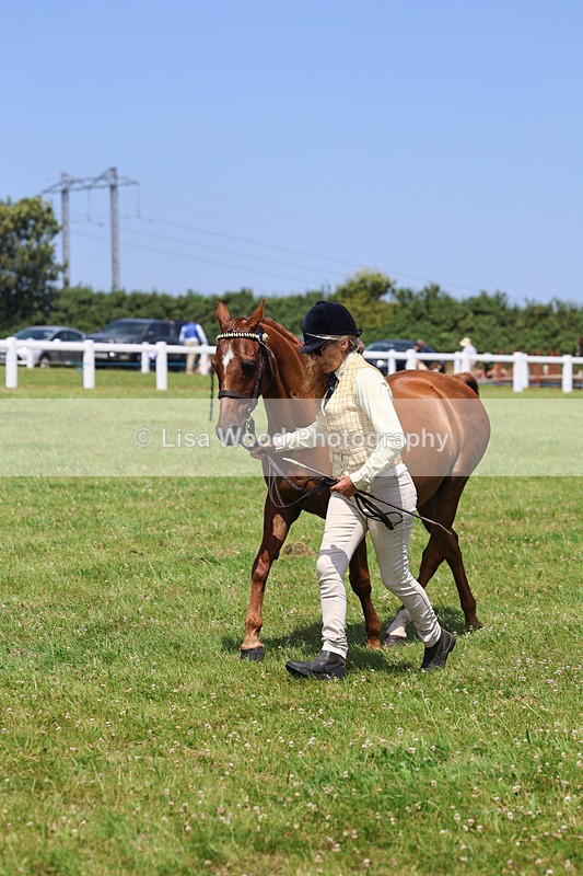 IMG_2743 - Class 39: Veteran In Hand