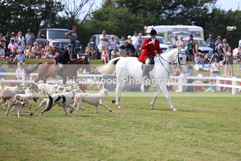 3E7A0147 - Parade of Hounds