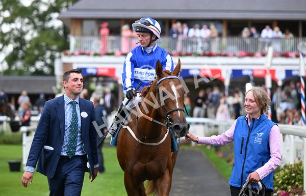 230825-266 Revival Power - Race 6 4.45pm Julia Graves Roses Stakes