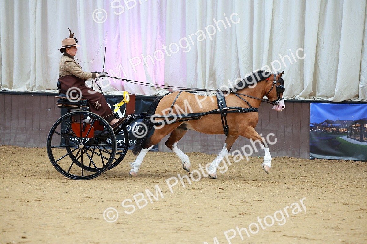 SBM_000162 - Class 3 - Alison Thomas Memorial Lady Whip