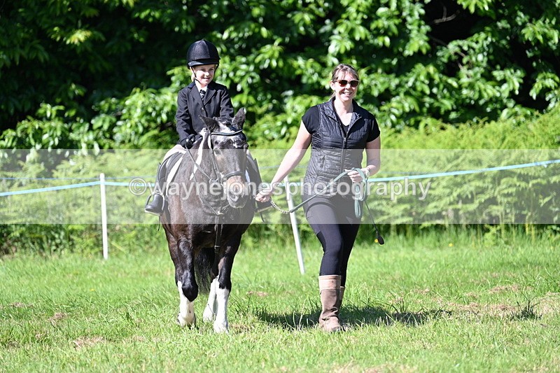 WJ7_0465 - Class 8 First Rally Pony