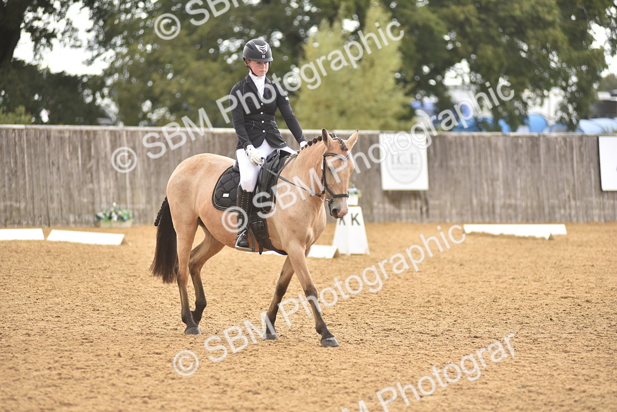SBM_42376 - D22 - Junior Championship Intro 3