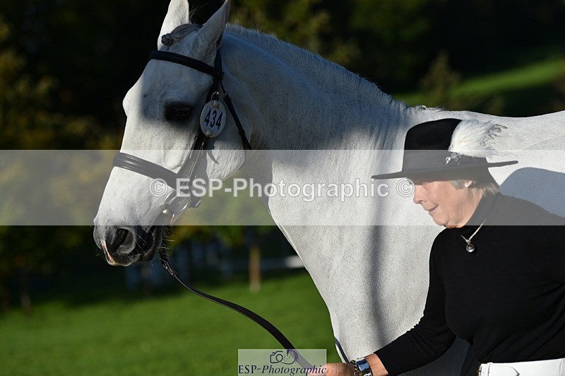 231022-095752-22147 - 434-SPINK.BUSTER-Sue.Parkes-TrotUp+SJ