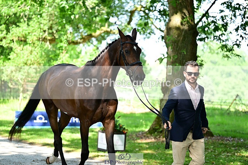 260527A-153150-01251 - C-390-Marcio.Appel