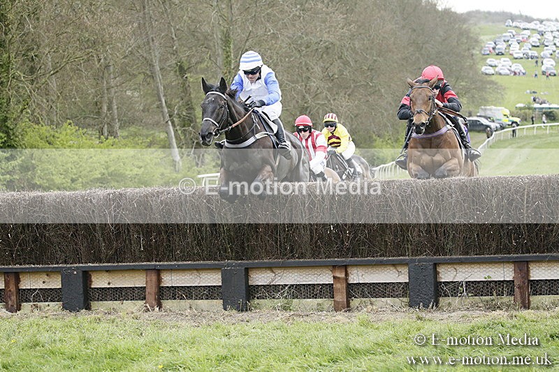 PtP 170417 448 - Old Berks Point-to-Point Lockinge 17/04/17