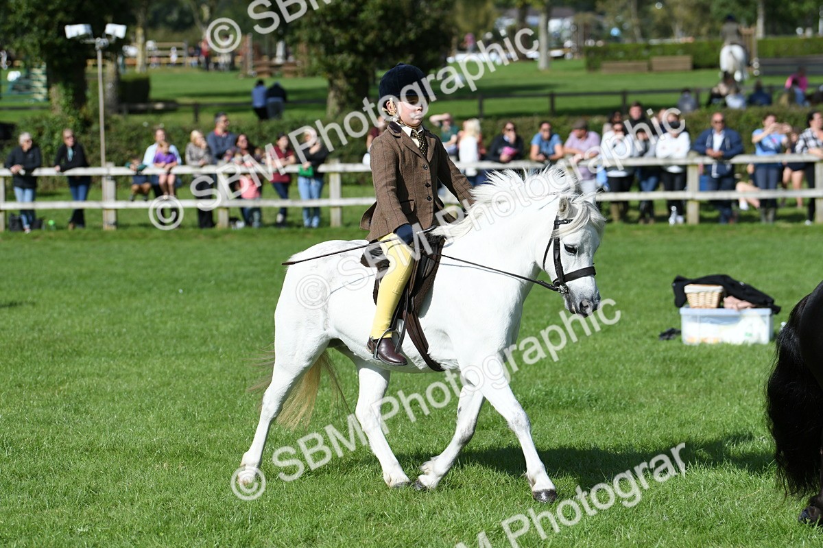 SBM_50288 - S21 - Novice & Newcomers 1st Ridden Pony