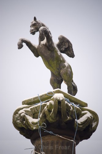 Pegasus II - Around Thornhill