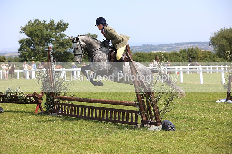 JPP_2462 - Class 21: Working Hunter 60cm