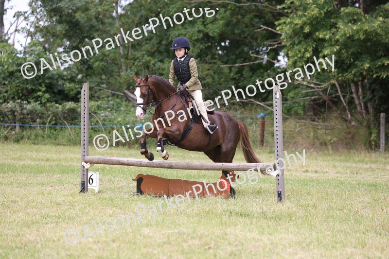 20260614-3005 - Class 22 - Open Working Hunter