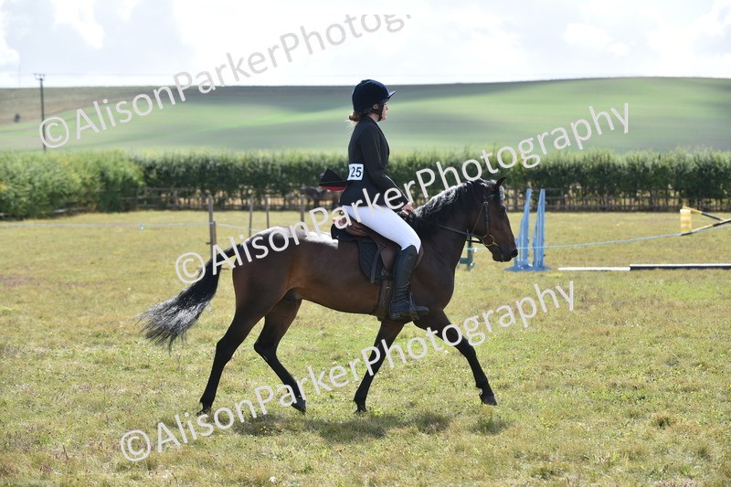 20250831-4034 - Class 12 - Working Hunter Pony 14.2hh and Under
