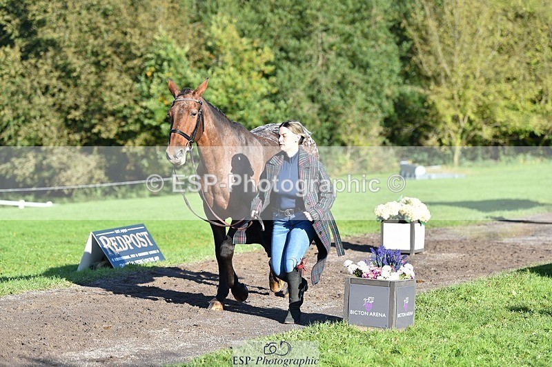 231022-100920-22268 - 482-ODDSPOT.VITAL.ELEMENT-Danielle.Davies-TrotUp+SJ