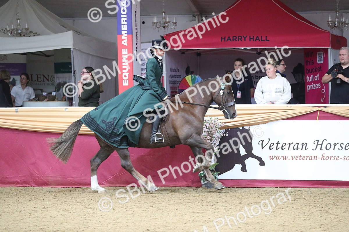 SBM_12134 - Class 107 Ridden Costume- Astride Adult (20+)