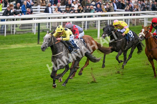 101025-Race 1-Ice Max-6196 - Race 1 William Hill Autumn Mile Handicap at York