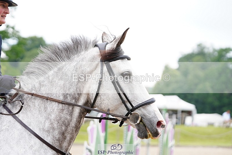 250615A-095434-09955 - Class 43 British Novice 90cm Open