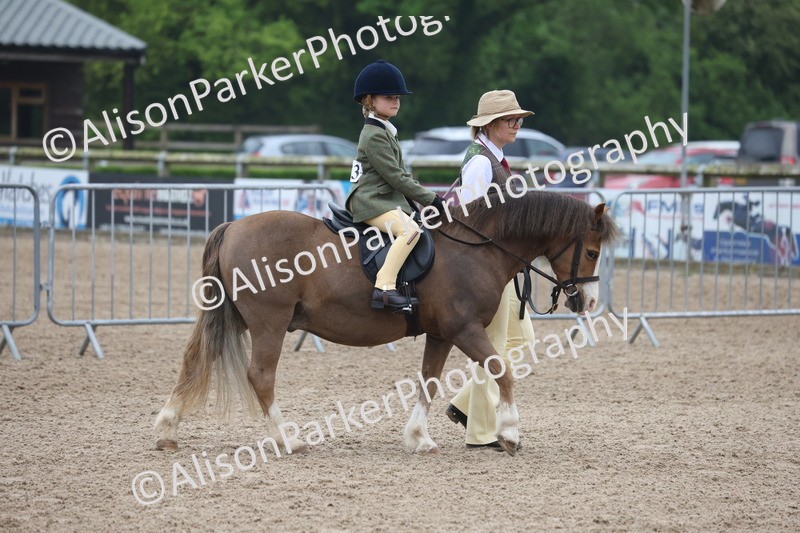 20260504-0110 - Class 9 - Lead Rein Pony