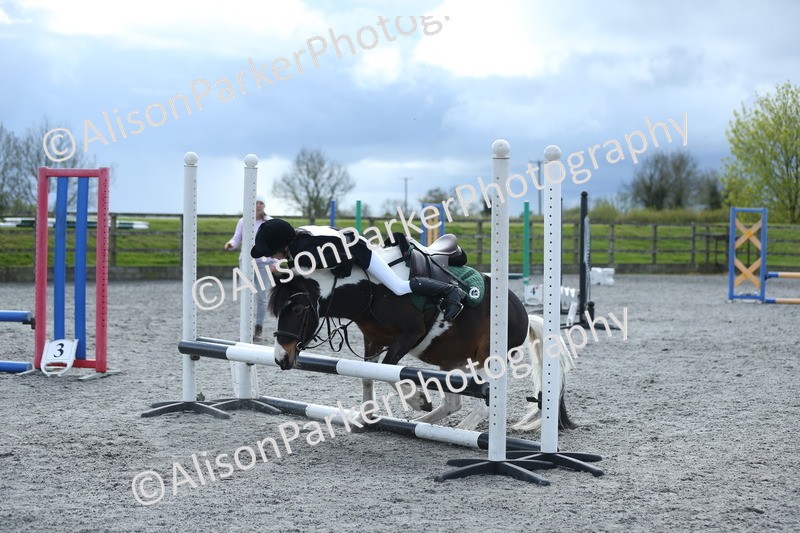 20260412-1825 - Show Jumping