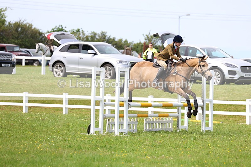 3E7A1439 - Class 13: Senior British Novice/90cm open