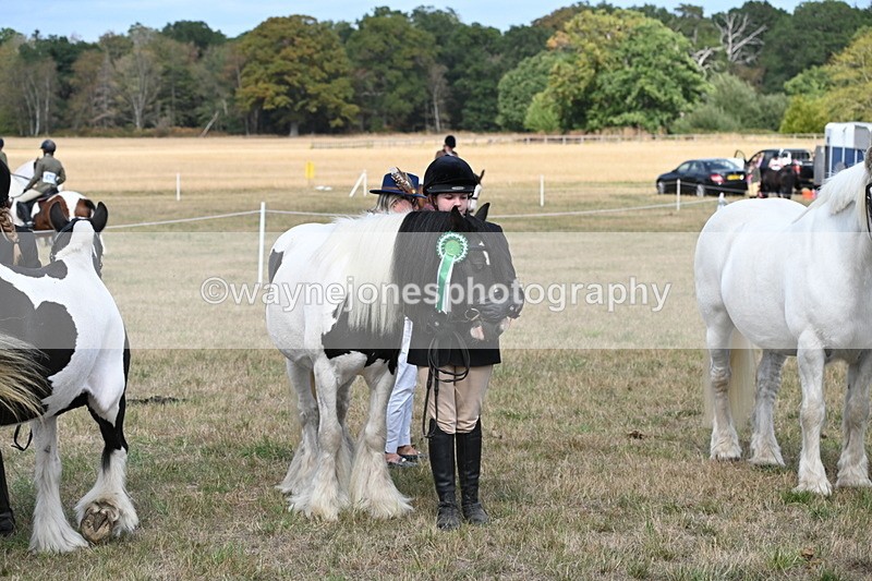 WJ6_6731 - Class 20 In-hand Cob