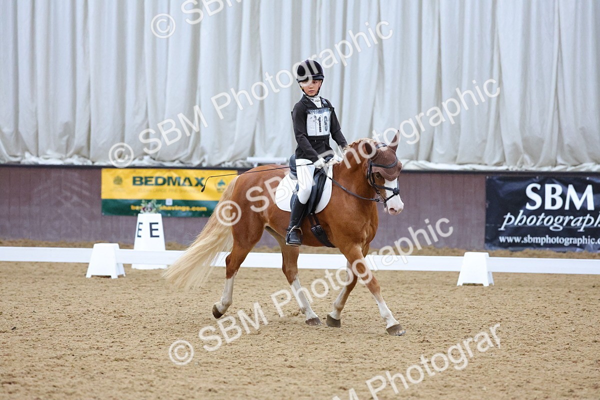 SBM_004198 - Intermediate
