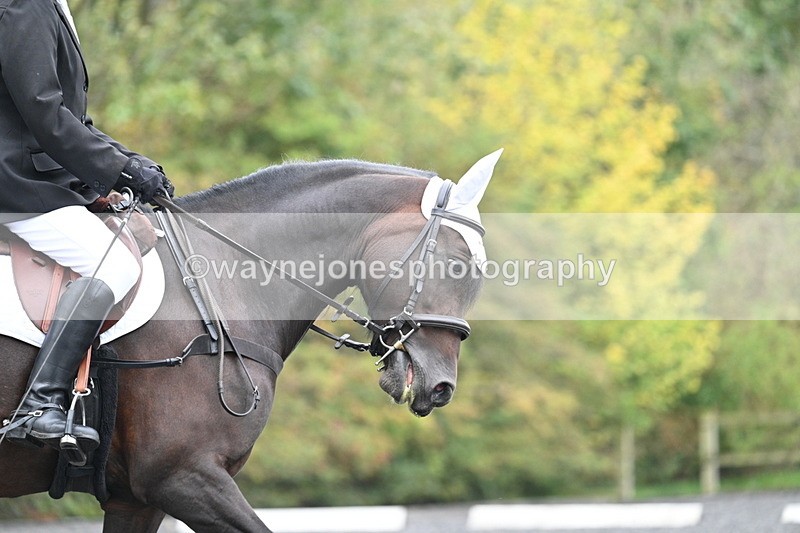 WJ7_3039 - Time 09:00 to 09:35