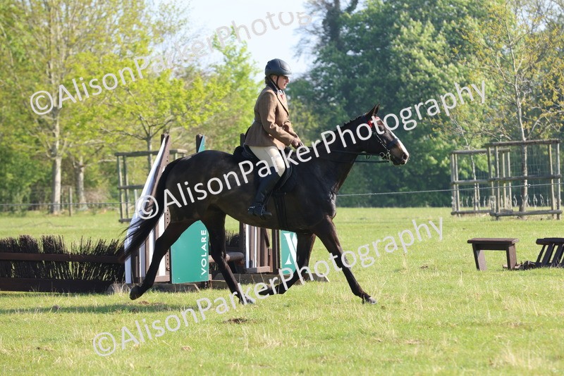 20250427-0544 - Class 17 - Novice Showing