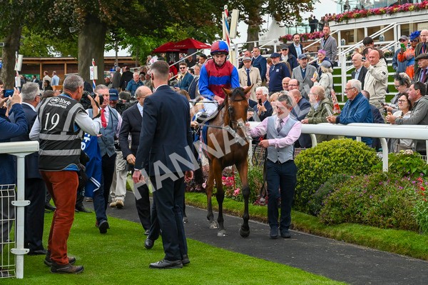 220824-Race 4-Content-6956 - Race 4 3.35pm Pertemps Network Yorkshire Oaks