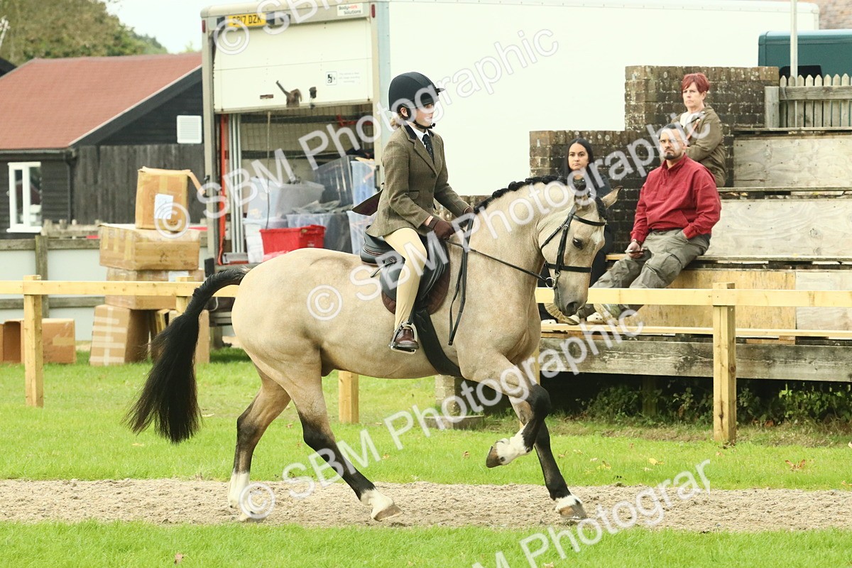 SBM_74002 - S 61 - Show Pony & Show Hunter Pony Ridden