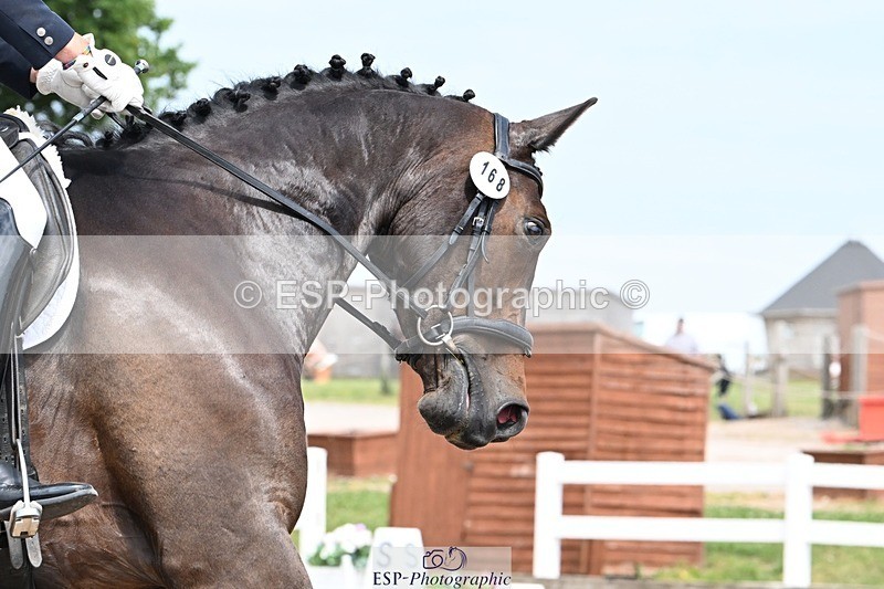 250621-141429-11423 - Cls 30 - Elementary 6