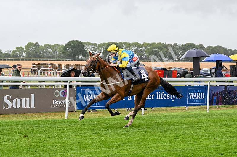 150725-Race 4-Without Flaw-0570 - Race 4