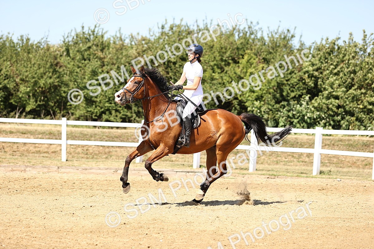 SBM_015315 - Class 16 - Senior foxhunter - 1.20m Open