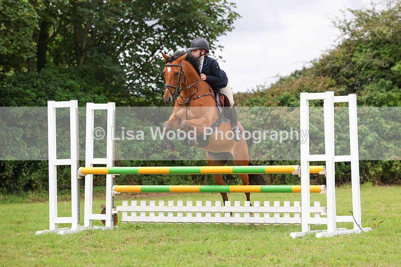 3E7A7113 - Class 5: Senior British Novice/90cm open