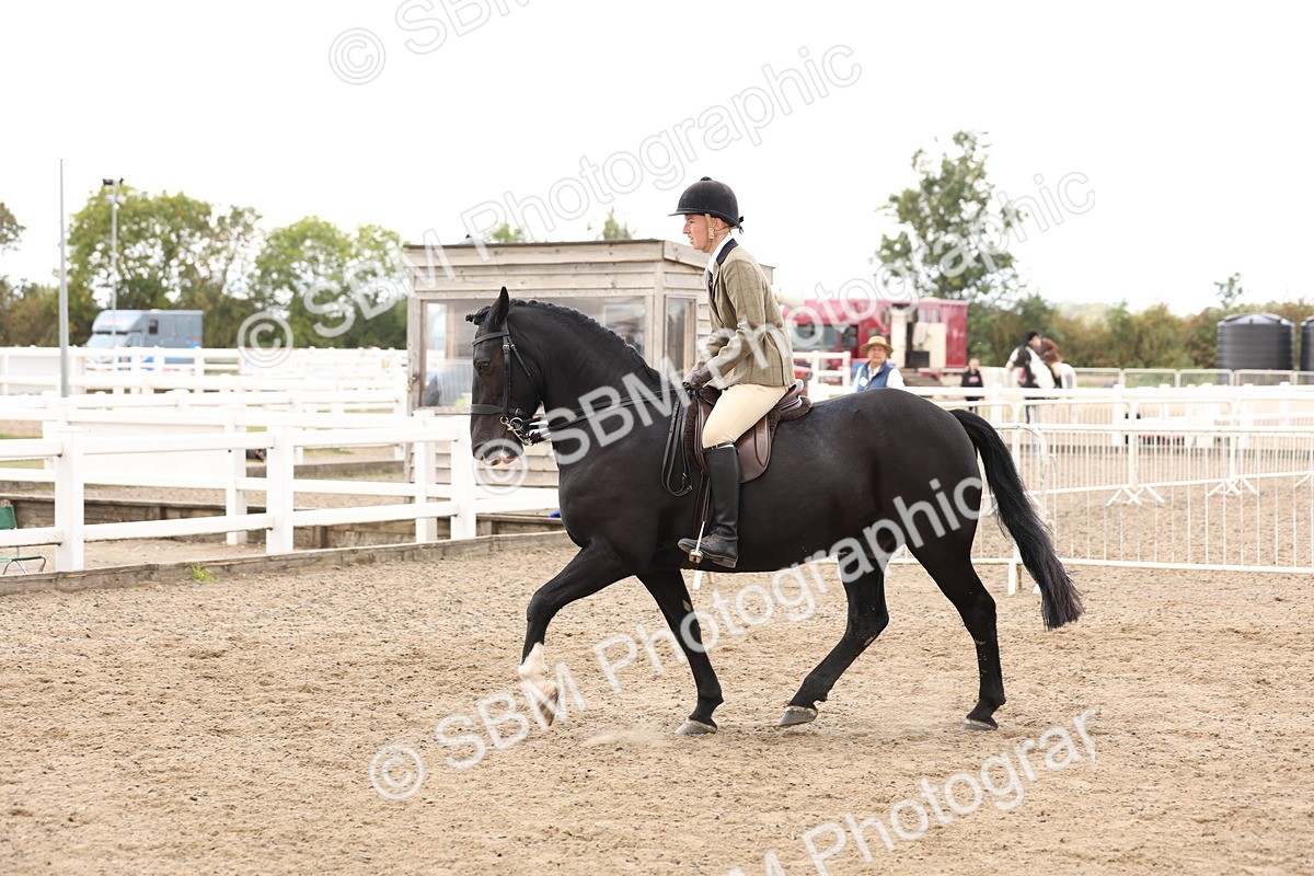 SBM_04201 - Class 54 - Riding Club Horse/Pony